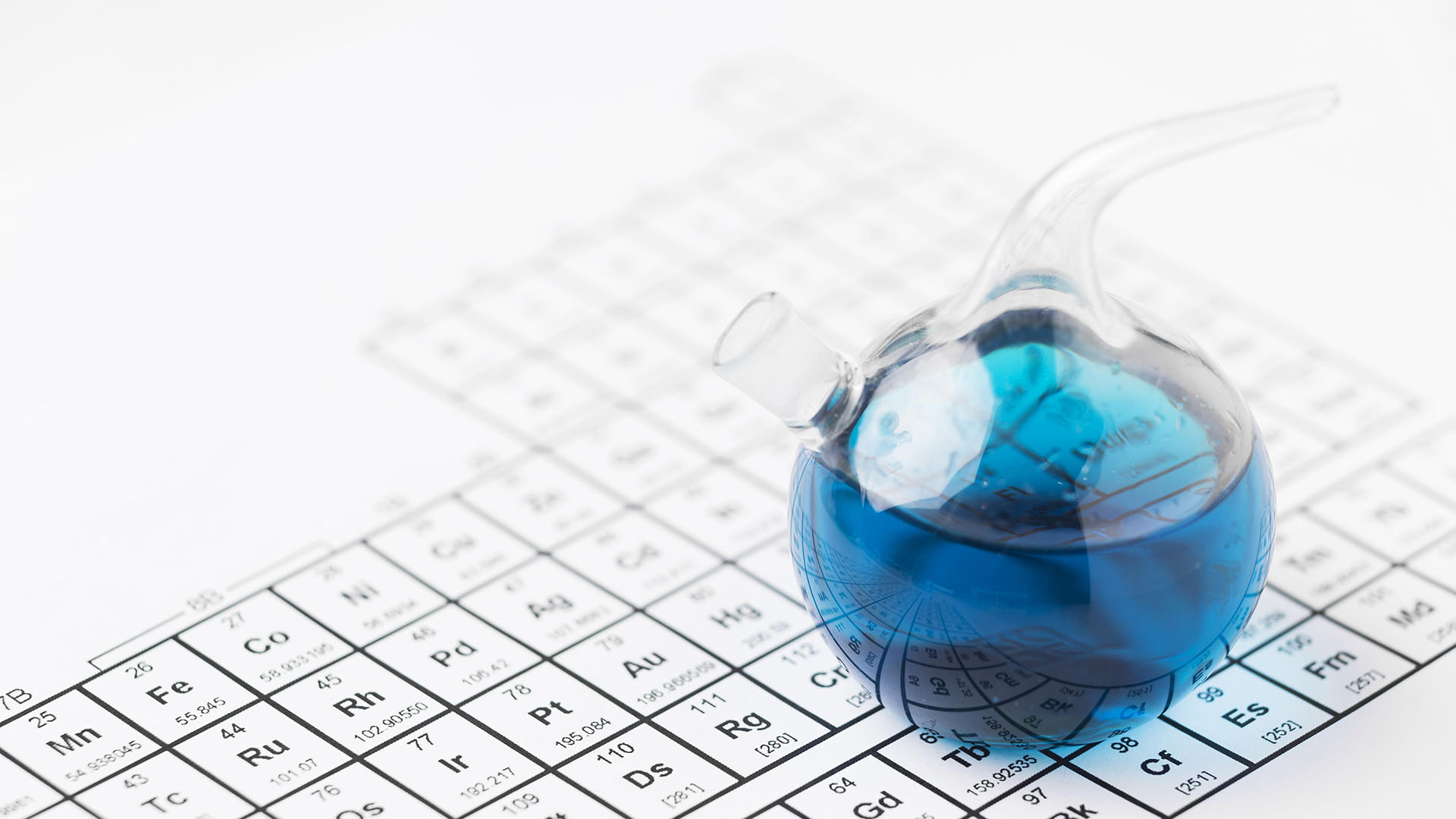 company photo / logo