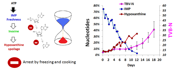 ATP degradation Graph