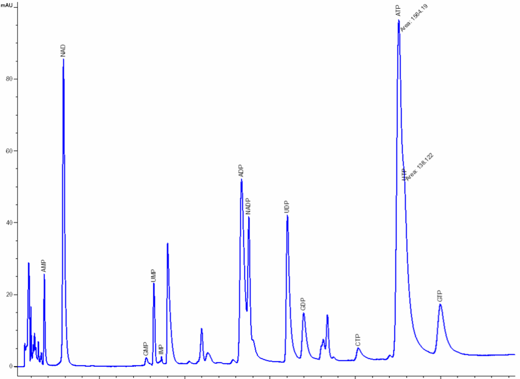 Quantification of intracellular metabolites in Huh-7 non-treated cells