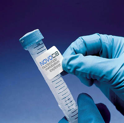 Nucleotides identification