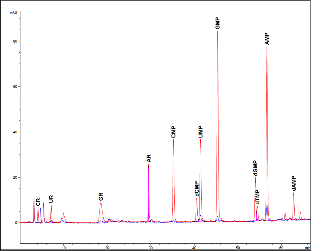 yield of 5'-nucleotides from yeast extract